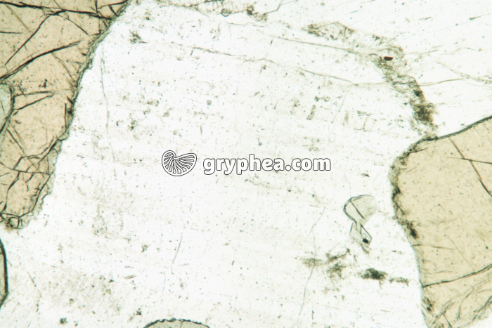 Feldspath Plagioclase LPNA x25 - gryphea.org